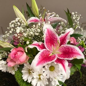 Meet your Posher, Roxy